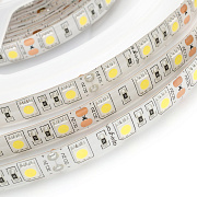 светодиодная лента 60 LED 5050  W IP65 белый 3chip